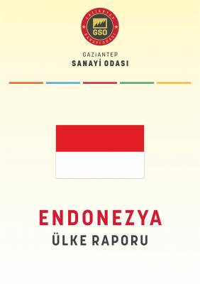 Endonezya Ülke Raporu
