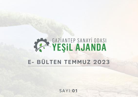 YEŞİL AJANDA - 01