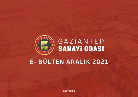 2021 ARALIK