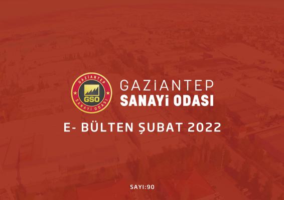 2022 ŞUBAT