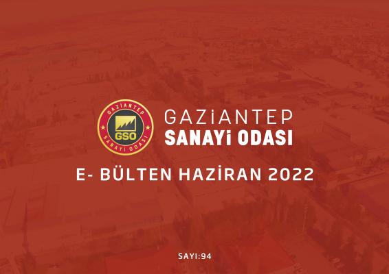 2022 HAZİRAN
