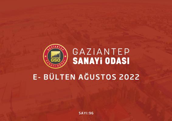 2022 AĞUSTOS